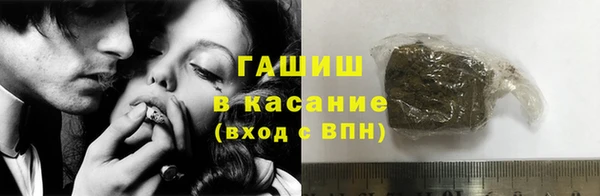 индика Алзамай