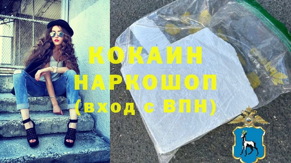 индика Алзамай