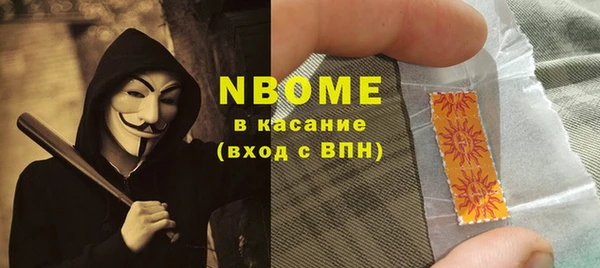 индика Алзамай