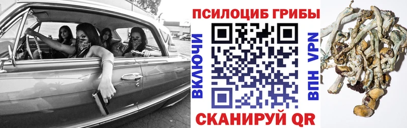 Галлюциногенные грибы Psilocybe Орлов