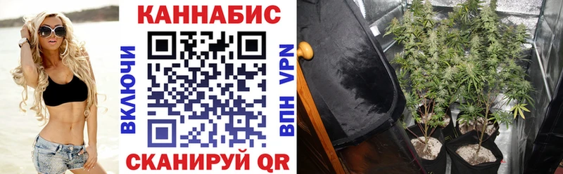 Канабис Amnesia  цены   Орлов 